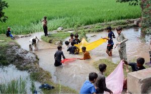 Children attempt to catch fish using pices of colthes in floodwaters at Bhuwana Tehsil near the Chenab River, after flash floods swept through and damaged nearby fish farms