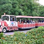 Visitors enjoy a safari train ride as a large number of people arrive to spend their holiday at Lake View Park
