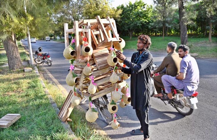 A vendor displaying bird’s nests and wooden base stand for refrigerator on his bicycle to attract the customers in Federal Capital