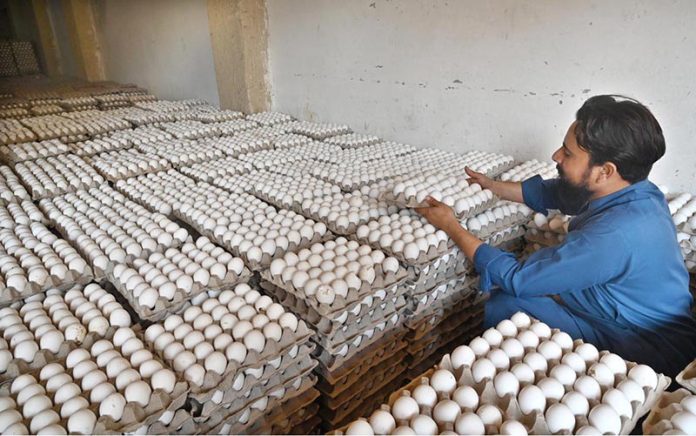 A shopkeeper busy in arranging and displaying eggs at his shop