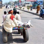 A donkey cart holder on the way loaded with donkey on the cart at Jail Road