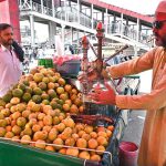 A vendor busy extracting sweet lime juice for customers at his roadside stall.
