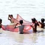 Children try to catch fish using a cloth sheet in the swollen waters of the Chenab River at Head Muhammad Wala after heavy flooding