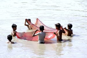 Children try to catch fish using a cloth sheet in the swollen waters of the Chenab River at Head Muhammad Wala after heavy flooding