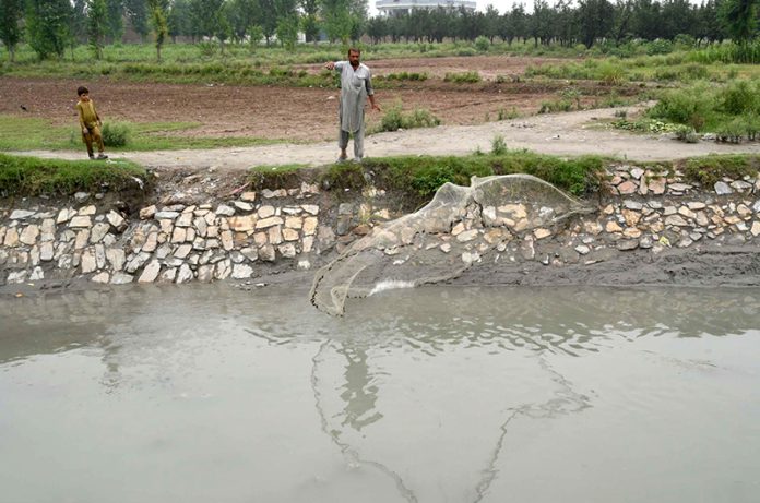 A man casts his net in a canal near Chuha Gujar area, as flash floods have disrupted fish markets and destroyed farms in Punjab