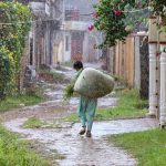 A youngster on the way carries bundle of grass during rain that experienced the Federal Capital during morning time