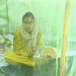 Liaquat University Hospital takes special measures to combat dengue virus