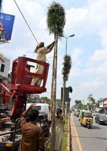 Cantonment Board workers installing support sticks to newly planted trees at College Road.