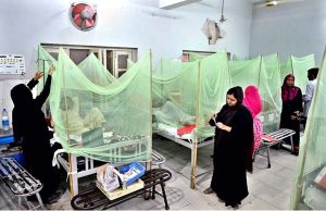 Dengue patients receiving treatment at Bhitai Hospital as the city battles an alarming surge in cases.