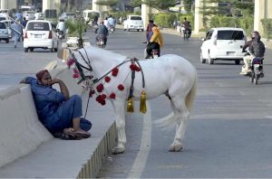 A man resting by the roadside with a decorated horse standing beside him, creating an unusual scene on a busy road of the city.