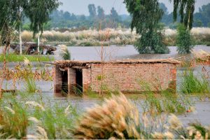 Houses submerged in floodwater as rising levels of the Chenab River inundate low-lying villages, damaging thousands of homes, destroying vast croplands, and affecting over two million people