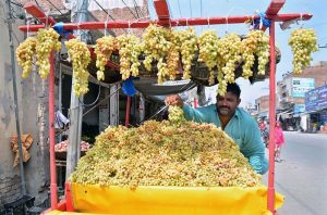 A vendor displaying grapes on his handcart to attract customers at his roadside setup.