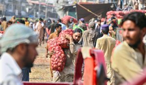 A labourer on the way carrying sacks of onion on his shoulders at Islamabad Fruit and Vegetable Market.