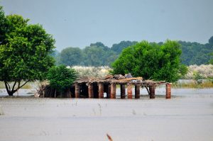 Houses submerged in floodwater as rising levels of the Chenab River inundate low-lying villages, damaging thousands of homes, destroying vast croplands, and affecting over two million people