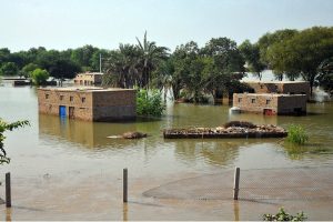 A youngster standing on a rooftop with salvaged household items after floodwater inundated houses following river overflow. Heavy flooding has disrupted life across several districts in South Punjab.