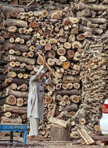 An elderly labourer busy cutting wood into pieces at his workplace at Khana Pull.