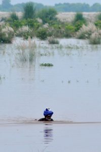 Houses submerged in floodwater as rising levels of the Chenab River inundate low-lying villages, damaging thousands of homes, destroying vast croplands, and affecting over two million people