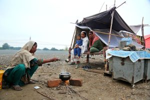 A woman cooks food outside a temporary roadside shelter as displaced families continue to face hardships amid ongoing floods in southern Punjab.