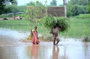A flood-affected family being rescued by boat to cross floodwaters and move to a safer place in Bhuwana Tehsil near the Chenab River