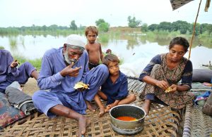 A woman cooks food outside a temporary roadside shelter as displaced families continue to face hardships amid ongoing floods in southern Punjab.