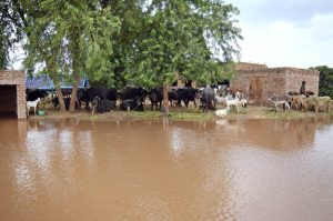 A view of submerged houses as floodwaters inundate several villages