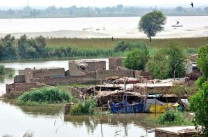 Houses submerged in floodwaters in the kachha area of the Indus River at Sehrish Nagar, where thousands have been displaced after deadly flash floods.