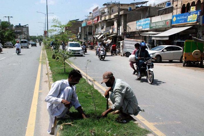 Workers of Parks and Horticulture Authority (PHA) engaged in cleanliness at the Green Belt