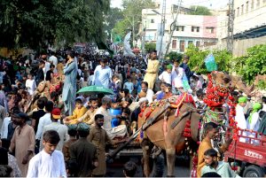 A large number of people with Camel carts participating in a Jaloos on the eve of Eid-e-Milad-un-Nabi SAAW the commemoration of the birth anniversary of Prophet Mohammed SAAW
