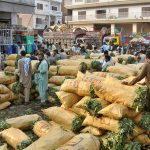 Farmers and traders display cauliflower bags during an auction at the vegetable market as shopkeepers bid