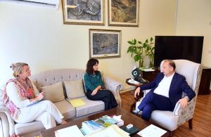 Federal Minister for Climate Change Dr. Musadik Malik Meets Ambassador of Sweden to Pakistan .