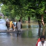 Flood-affected villagers of Lodia wade through waist-deep water to move their cattle and families to safer ground after a deadly flash flood inundated Lodi village, damaging thousands of houses, killing livestock, and destroying vast acres of crops across the district