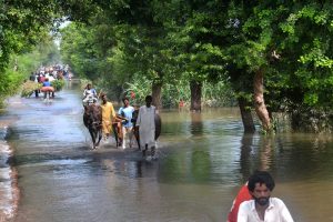 Flood-affected villagers of Lodia wade through waist-deep water to move their cattle and families to safer ground after a deadly flash flood inundated Lodi village, damaging thousands of houses, killing livestock, and destroying vast acres of crops across the district