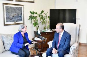 Federal Minister for Climate Change and Environmental Coordination Dr. Musadik Malik Meets Ireland's First Ambassador to Pakistan, Ms. Mary O'Neill.