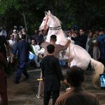 Horse Dancing during a march (Mashal Bardar Jaloos) on the eve of Eid-e-Milad-un-Nabi SAAW the commemoration of the birth anniversary of Prophet Mohammed SAAW