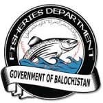 Balochistan fisheries department to launch crackdown on illegal trawling