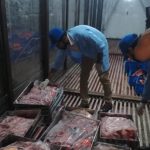 Food authorities raid restaurants, fast food outlets  for selling substandard edibles