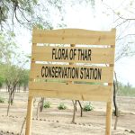 Pakistan’s first flora conservation station launched in Thar to protect biodiversity