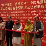 China-Pakistan partnership a model for peace, cooperation: Shi Yuanqiang
