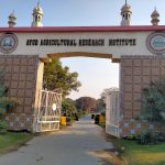 AARI to host annual wheat planning meeting on 23rd