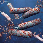 Health experts warn of Cholera outbreak in flood-affected areas, urge preventive measures