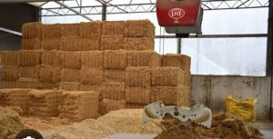 Flood-hit farmers battle fodder crisis as prices skyrocket