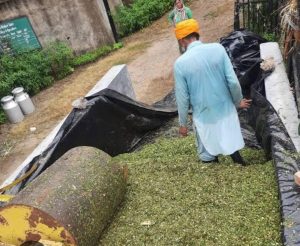 Flood-hit farmers battle fodder crisis as prices skyrocket