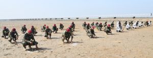 Pak Navy launches Mangrove plantation campaign 2025