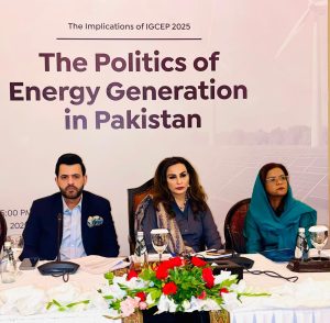 Pakistan’s Energy Future Hinges on Parliamentary Oversight: Barrister Danyal Chaudhry