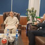 Pakistan eyes stronger maritime links with Egypt to enhance regional trade: Minister