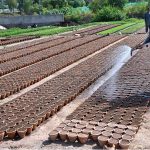 A nursery worker is watering newly sown seeds of seasonal plants and flowers in pots at a local nursery in the Federal Capital