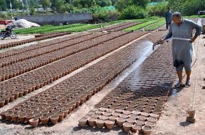 A nursery worker is watering newly sown seeds of seasonal plants and flowers in pots at a local nursery in the Federal Capital