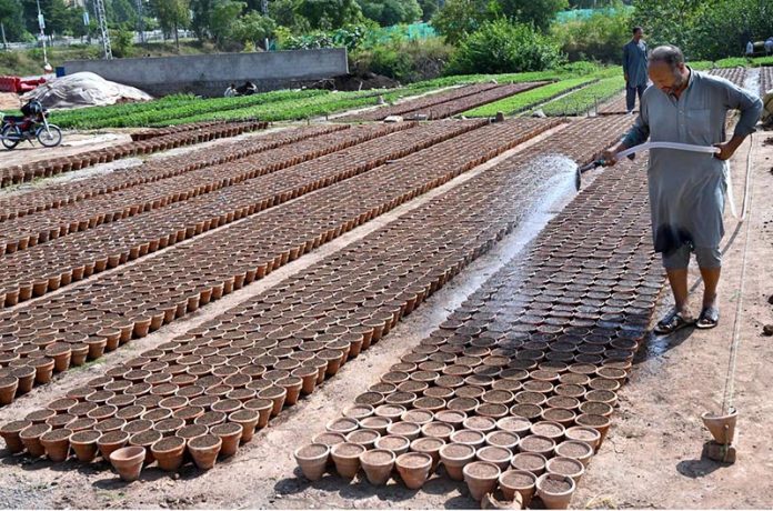 A nursery worker is watering newly sown seeds of seasonal plants and flowers in pots at a local nursery in the Federal Capital