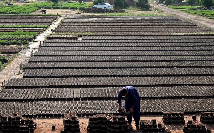 A nursery worker busy with his routine tasks at a local nursery in the H-9 area of the Federal Capital A nursery worker busy with his routine tasks at a local nursery in the H-9 area of the Federal Capital