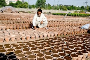 Nursery workers planting seedlings of seasonal plants and flowers in pots at a nursery in the Federal Capital